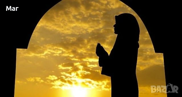 ХОДЖА -НАЙ -ДОБРАТА В БЪЛГАРИЯ И ЕВРОПА