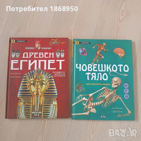 Лот енциклопедии