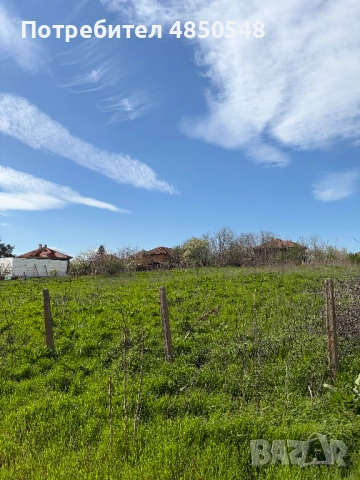 парцел в село Кутово, Видинско, снимка 5 - Парцели - 54818352
