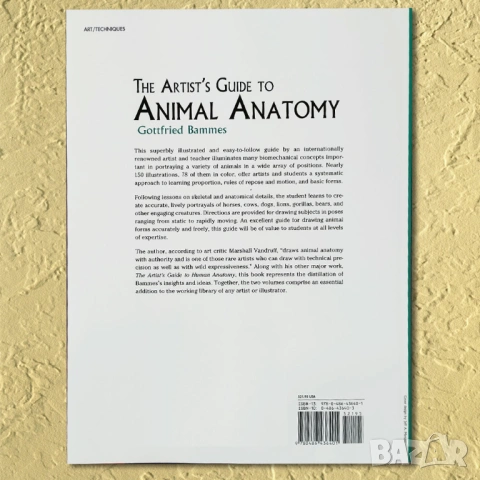 Животинското тяло Учебник по пластична анатомия Годфрид Бамес Gottfried Bammes download pdf, снимка 7 - Енциклопедии, справочници - 28299610