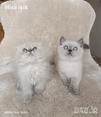 побързайте з да си спинкате с тях в Хасково