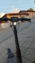 Тротинетка Segway GT2, снимка 5