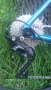  Велосипед Cannondale CAADX 105 Disc Cyclocross Gravel, снимка 15