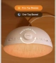 Dreamegg Sunrise 2 - Будилник с изгрев, звукова машина за сън,29 успокояващи звука,машина за бял шум, снимка 8