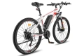 Електрическо колело FAFREES Hailong One 450W 36V 13Ah, снимка 8