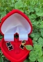Обеци по модел на VAN CLEEF, снимка 2