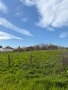 парцел в село Кутово, Видинско, снимка 5