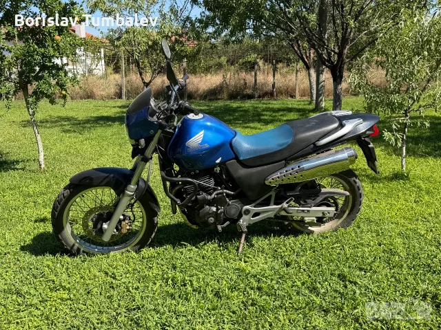Honda Vigor 650