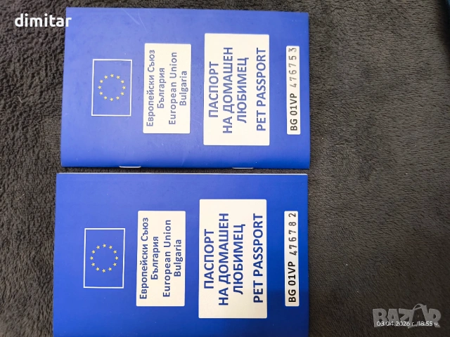Продавам чистокръвни Кане Корсо , снимка 8 - Кане корсо - 54082936