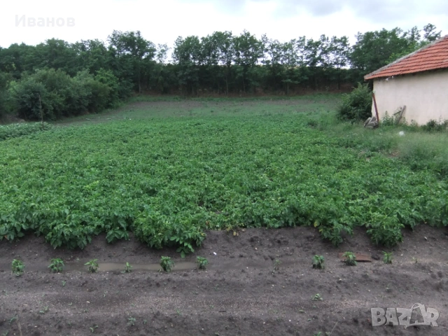 Къща  Стара Загора , село Пъстрен , снимка 2 - Къщи - 53961311