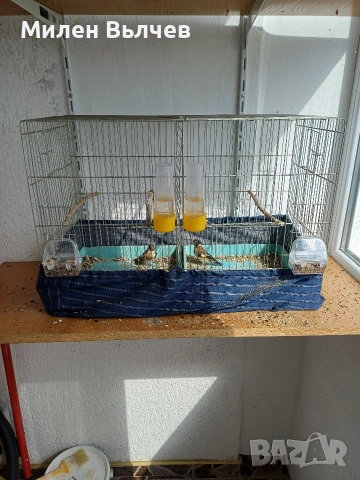 Клетка , снимка 2 - За птици - 54303137