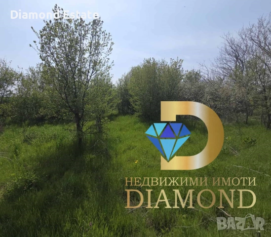 Стара къща с парцел в село Голямо Асеново, общ. Димитровград, снимка 4 - Къщи - 54187445