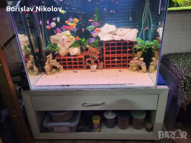 280л. 85х55х60, снимка 3 - Аквариуми - 54361012