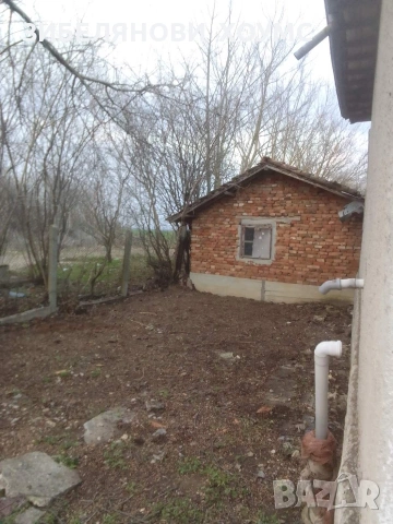 Продавам къща в с. Пор. Гешаново, област Добрич, снимка 4 - Къщи - 55008422