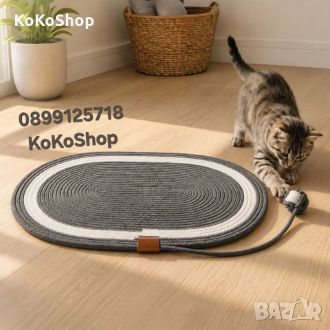 Котешка драскалка, драскалка за котки