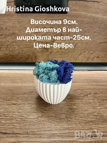Гипсова форма със скандинавски мъх