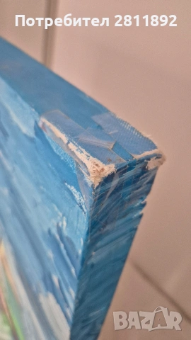 Картини, снимка 17 - Картини - 54276800