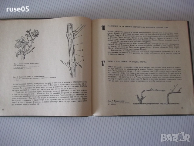 Книга "288 съвета за любителя лозар-Митко Ников" - 192 стр., снимка 5 - Наука, техника и компютри - 55038913