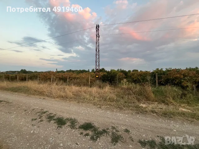 Продава лешникова градина 