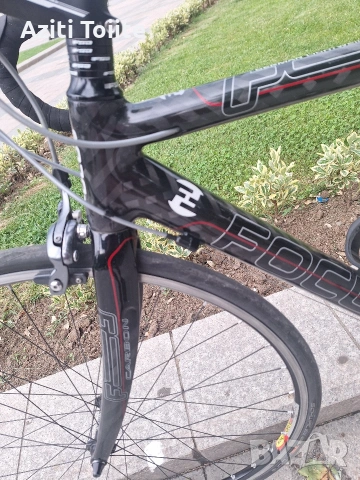 Focus Cayo carbon