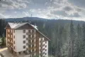 Продавам работещ Апартхотел на к.к.Пампорово , снимка 4