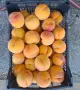Продавам праскови сорт Катерини, снимка 1