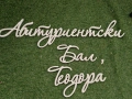 Надписи за украса, арка, имена букви, снимка 4
