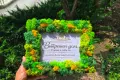 Картина декорирана със скандинавски мъх и ваше лого или пожелание по избор, снимка 4