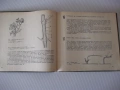 Книга "288 съвета за любителя лозар-Митко Ников" - 192 стр., снимка 5