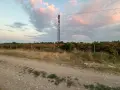Продава лешникова градина , снимка 1