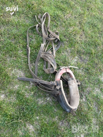 Хамут за магаре