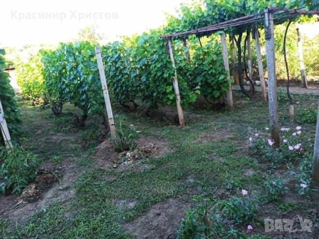 Продава се двуетажна къща в село Радомирци, община Червен бряг, снимка 5 - Къщи - 55047541