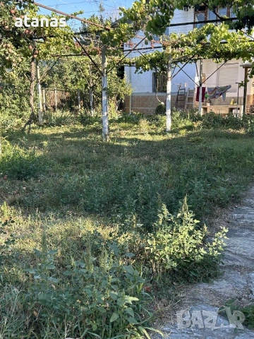 Косене и поддръжка на тревни площи , снимка 13 - Други почистващи услуги - 54410315