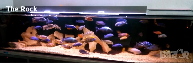 Аквариум с оборудване и стоика 1200лт, снимка 3 - Аквариуми - 54095384