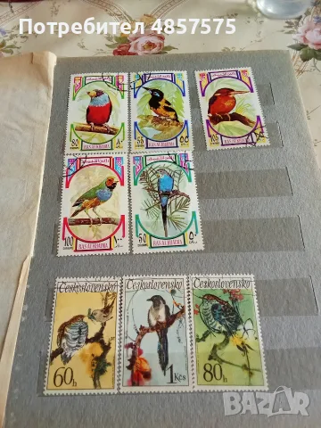 марки и класьор, снимка 3 - Филателия - 55411298