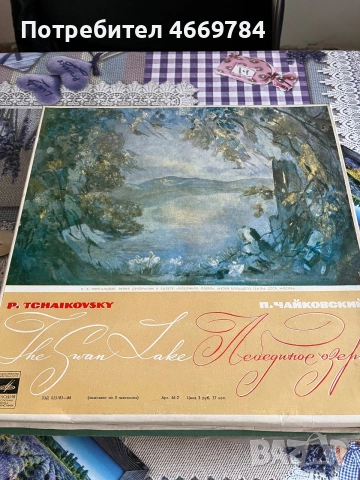 Грамофонни плочи класическа музика, снимка 7 - Грамофонни плочи - 55240135
