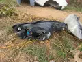 фарове ляв и десен за peugeot 206 1.4 hdi 67кс   - цена за 20 евро общо за двата   КОЛАТА Е: 50 кило, снимка 6