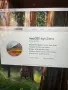 13" Core i5 MacBook Pro A1502 (2015)-i5/8GB RAM/256GB SSD, снимка 9