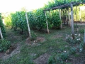 Продава се двуетажна къща в село Радомирци, община Червен бряг, снимка 5