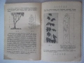 Книга "Златно сечение - Е. Солаков / К. Чимев" - 60 стр., снимка 7