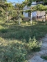 Косене и поддръжка на тревни площи , снимка 13