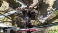 bombtrack Audax, снимка 8