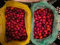 Продавам Дренки 3 €, снимка 2
