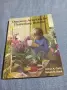 "DISCOVERY ACTIVITIES FOR ELEMENTARY SCIENCE", снимка 1