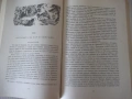 Книга"Чудното пътуване на Нилс Холгерсон..-С.Лагерльоф"-432с, снимка 5