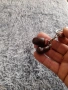 Стар ключодържател Боксови ръкавици ЦСКА, снимка 2