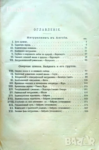 Литература 19-ти века въ ея главьйшихъ теченiяхъ Г. Брандесъ /1898/, снимка 2 - Антикварни и старинни предмети - 55476443