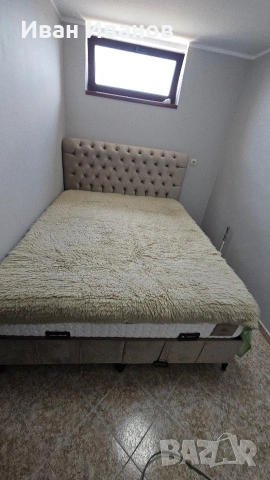 Родопски китеник