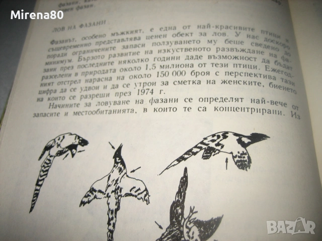 Книга за ловеца и риболовеца - 1977 г., снимка 9 - Специализирана литература - 53978585