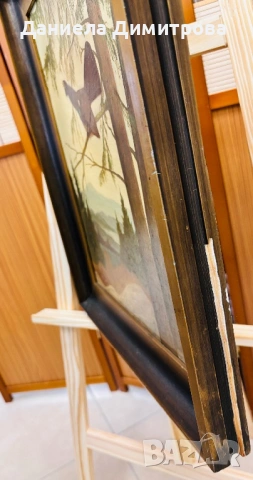 Рисувана картина на фазер, снимка 9 - Картини - 54205558